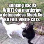 Racist Cat | Stinking Racist WHITE Cat murdering a defenceless Black Cat.
KILL ALL WHITE CATS. Yarra Man | image tagged in racist cat | made w/ Imgflip meme maker