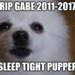 gabe | RIP GABE 2011-2017; SLEEP TIGHT PUPPER | image tagged in gabe the dog | made w/ Imgflip meme maker