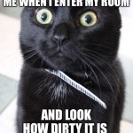 Woah Kitty | ME WHEN I ENTER MY ROOM; AND LOOK HOW DIRTY IT IS | image tagged in memes,woah kitty | made w/ Imgflip meme maker