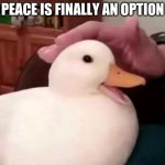 peace is finally an option meme