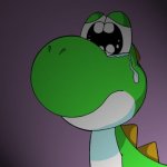 Sad Yoshi | YOUVE SEEN PICTURES OF PET CATS BUT HAVE YOU SEEN PICTURES OF MY PET | image tagged in sad yoshi | made w/ Imgflip meme maker
