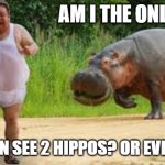 AM I THE ONLY ONE; WHO CAN SEE 2 HIPPOS? OR EVEN U CAN | image tagged in hippo | made w/ Imgflip meme maker