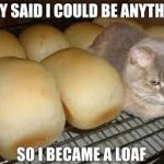 the loaf cat