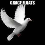 DOVE PIGEON LOVE PEACE HAPPINESS | GRACE FLOATS | image tagged in dove pigeon love peace happiness | made w/ Imgflip meme maker