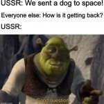 Press F for Laika | USSR: We sent a dog to space! Everyone else: How is it getting back? USSR: | image tagged in shrek good question,funny,memes,shrek,dogs | made w/ Imgflip meme maker