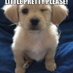 Harmless guilty pleasure puppy | DISNEY, PLEASE BRING BACK CHICKEN LITTLE PRETTY PLEASE! | image tagged in harmless guilty pleasure puppy | made w/ Imgflip meme maker