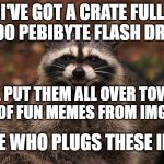 raccon | I'VE GOT A CRATE FULL OF 100 PEBIBYTE FLASH DRIVES; I'LL PUT THEM ALL OVER TOWN FULL OF FUN MEMES FROM IMGFLIP. SEE WHO PLUGS THESE IN... | image tagged in raccon | made w/ Imgflip meme maker