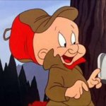 Loonier Tunes | CAN'T BELIEVE THEY TOOK
 ELMER FUDD'S GUN.. WHAT'S NEXT,
WOODY'S PECKER | image tagged in elmer fudd,crazytown | made w/ Imgflip meme maker