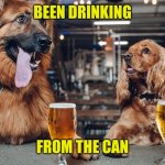 Just had my first draft beer in 3+ months | BEEN DRINKING; FROM THE CAN | image tagged in dog drinking,beer,covid-19 | made w/ Imgflip meme maker