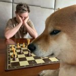Doge playing chess