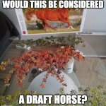 Draft horse | WOULD THIS BE CONSIDERED; A DRAFT HORSE? | image tagged in horse puzzle,horse,funny animals,horses | made w/ Imgflip meme maker