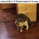 buffering cat | when dad goes to get the milk and he comes back in 15 minutes instead of 15 years | image tagged in buffering cat,memes,dad | made w/ Imgflip meme maker