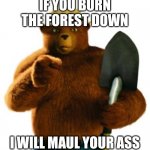 Smokey's less often heard yet more aggressive message | IF YOU BURN THE FOREST DOWN; I WILL MAUL YOUR ASS | image tagged in smokey bear | made w/ Imgflip meme maker