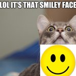 LOLCAT | LOL IT'S THAT SMILEY FACE | image tagged in lolcat | made w/ Imgflip meme maker
