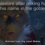 Almost Lost My Cool There | dumbledore after asking harry if he put his name in the goblet of fire | image tagged in almost lost my cool there | made w/ Imgflip meme maker