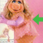 Miss Piggy | IM NOT FAT; IM THICKKK | image tagged in miss piggy | made w/ Imgflip meme maker