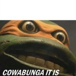 Cowabunga it is