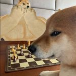 Buff Doge vs Smort Cheems meme