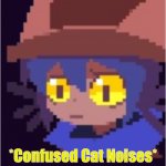 confused cat noises