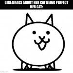 Cat meme | GIRL:BRAGS ABOUT HER CAT BEING PERFECT

HER CAT: | image tagged in battle cats basic cat,memes,cats,fun,bragging,not what it seams | made w/ Imgflip meme maker