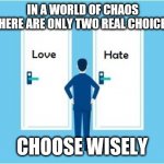 Choose Wisely | IN A WORLD OF CHAOS THERE ARE ONLY TWO REAL CHOICES; CHOOSE WISELY | image tagged in choose wisely | made w/ Imgflip meme maker