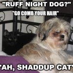 Bug | "RUFF NIGHT DOG?"; "GO COMB YOUR HAIR"; "AH, SHADDUP CAT" | image tagged in funny dog,funny pet,bad hair day,grouchy | made w/ Imgflip meme maker