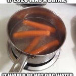 Hot dog flavored water | IF 2020 WAS A DRINK, IT WOULD BE HOT DOG WATER. | image tagged in hot dog,2020,hotdog,water,sucks,meme | made w/ Imgflip meme maker