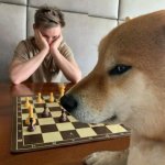 Doge playing chess meme