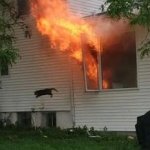 Cat jumping out of house in fire