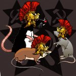 Warcampaign rats
