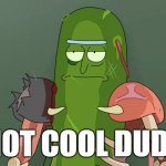 pickle rick | NOT COOL DUDE | image tagged in pickle rick | made w/ Imgflip meme maker