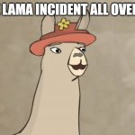 I bet you no one will understand this | IT'S THE LAMA INCIDENT ALL OVER AGAIN | image tagged in llamas with hats | made w/ Imgflip meme maker