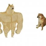 Dog comparison