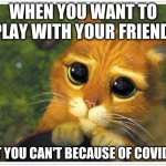 Shrek Cat Meme Generator Imgflip Shrek Cat Meme Generator Imgflip