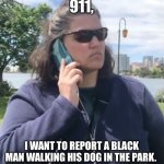 Woman calls police | 911, I WANT TO REPORT A BLACK MAN WALKING HIS DOG IN THE PARK. | image tagged in woman calls police | made w/ Imgflip meme maker