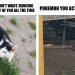 WHY YOU HIDING | POKEMON YOU DON'T WANT, HANGING AROUND IN FRONT OF YOU ALL THE TIME; POKEMON YOU ACTUALLY WANT | image tagged in open cat hiding cat,pokemon | made w/ Imgflip meme maker