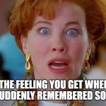 The feeling you get when you've remembered something | THE FEELING YOU GET WHEN YOU'VE SUDDENLY REMEMBERED SOMETHING | image tagged in home alone we forgot kevin | made w/ Imgflip meme maker