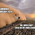 Dust storm dog | SUMMNER INTERNSHIP 2020; *ME, WHO CAN'T EVEN DO MY OWN CHORES* | image tagged in dust storm dog | made w/ Imgflip meme maker