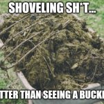 shoveling sh*t | SHOVELING SH*T... BETTER THAN SEEING A BUCKEYE | image tagged in funny memes | made w/ Imgflip meme maker