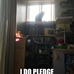 Demon cat | YES CAT; I DO PLEDGE MYSELF TO U | image tagged in demon cat | made w/ Imgflip meme maker