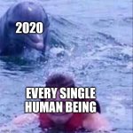 Dolphin chases swimmer | 2020; EVERY SINGLE HUMAN BEING | image tagged in dolphin chases swimmer | made w/ Imgflip meme maker