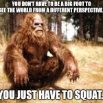 bigfoot | YOU DON'T HAVE TO BE A BIG FOOT TO SEE THE WORLD FROM A DIFFERENT PERSPECTIVE. YOU JUST HAVE TO SQUAT. | image tagged in bigfoot | made w/ Imgflip meme maker
