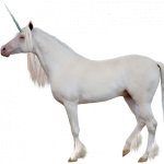 unicorn