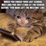 Not gonna lie I got emotional, but summer so yay | WHEN YOU FINISH YOUR LAST SCHOOL MEET AND YOU JUST STARE AT THE SCREEN SAYING "YOU HAVE LEFT THE MEETING" LIKE: | image tagged in sad kitty | made w/ Imgflip meme maker