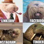 John Bolton walrus social media meme