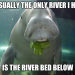 Dugong | USUALLY THE ONLY RIVER I HIT; IS THE RIVER BED BELOW | image tagged in dugong | made w/ Imgflip meme maker