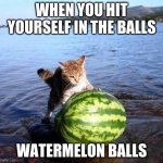 Argument invalid watermelon cat | WHEN YOU HIT YOURSELF IN THE BALLS; WATERMELON BALLS | image tagged in argument invalid watermelon cat | made w/ Imgflip meme maker