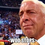 Woo stops | <WOO STOPS> | image tagged in pro wrestling | made w/ Imgflip meme maker