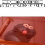 Ratatouille Triggered Remy | WHEN YOU LOOK IN THE MIRROR AFTER EATING 7 BLOCKS OF CHEESE | image tagged in ratatouille triggered remy | made w/ Imgflip meme maker