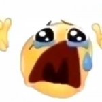cursed crying emoji meme